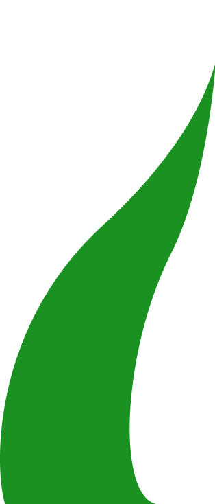 SP Manutenção de Jardins