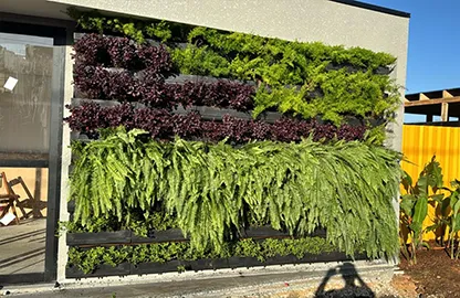 Manutenção de Jardim de Empresa na Parada Inglesa